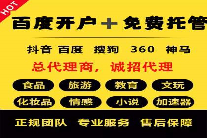 提升网站流量与转化率的关键——关键词竞价排名案例
